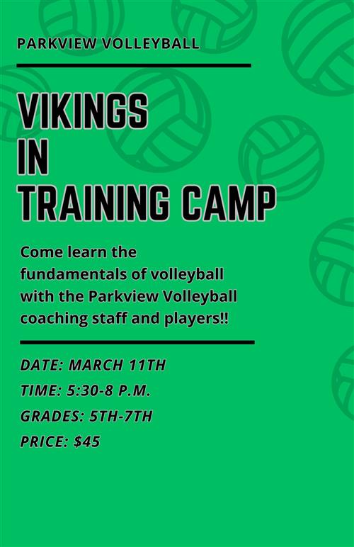 Volleyball flyer